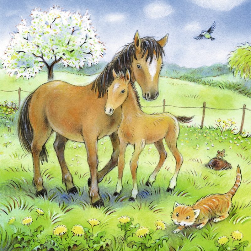 Puzzle Animale Si Pui, 3X49 Piese image 3