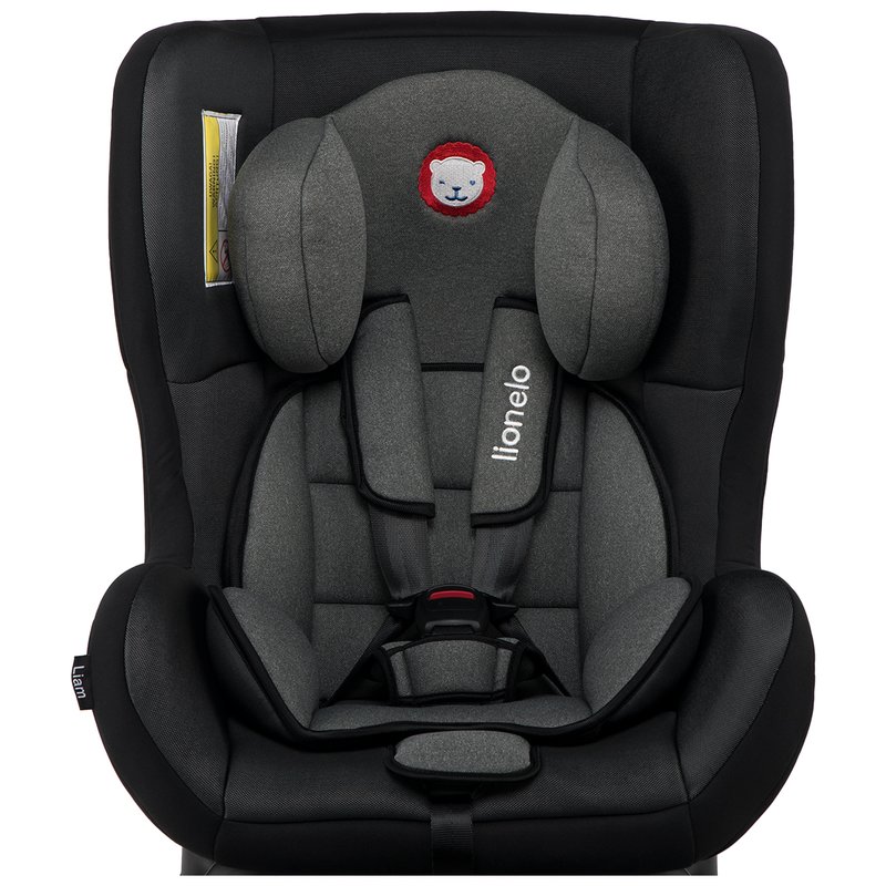 Lionelo - Scaun auto copii 0-18 Kg Liam, Carbon Grey image 4