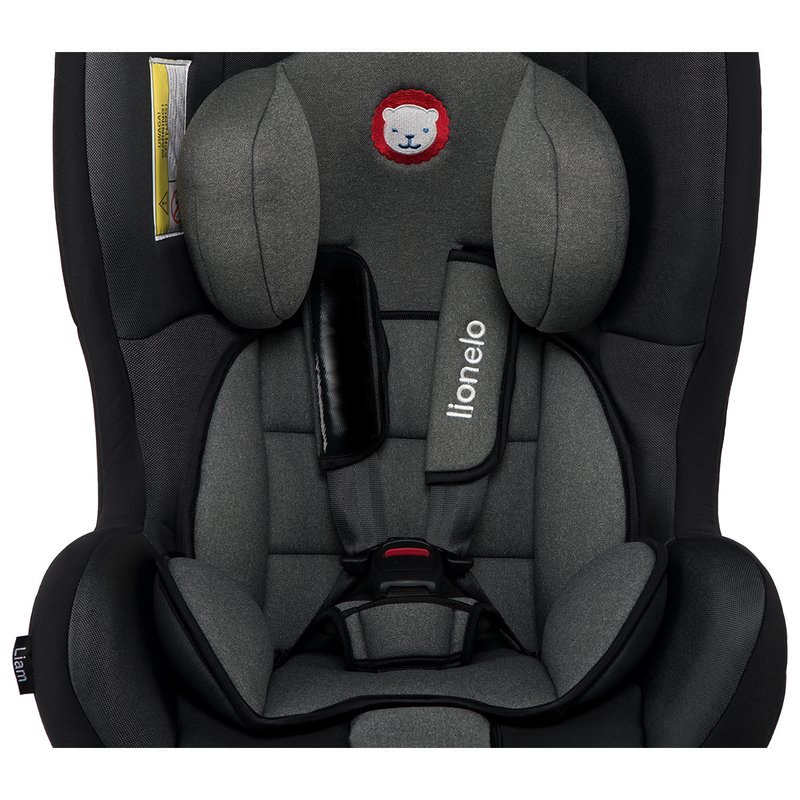 Lionelo - Scaun auto copii 0-18 Kg Liam, Carbon Grey image 5