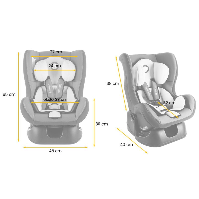 Lionelo - Scaun auto copii 0-18 Kg Liam, Carbon Grey image 9