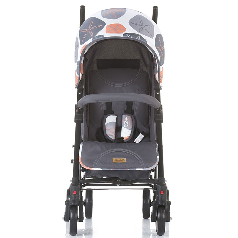 Carucior Chipolino Breeze ash image 3