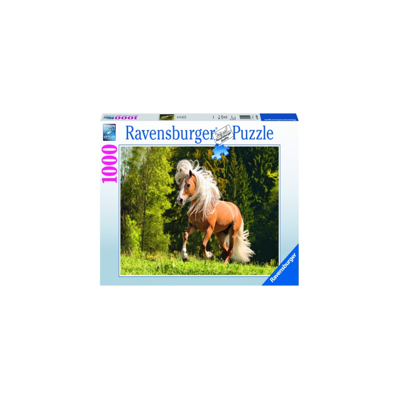 Puzzle Cal Pe Pajiste, 1000 Piese image 1