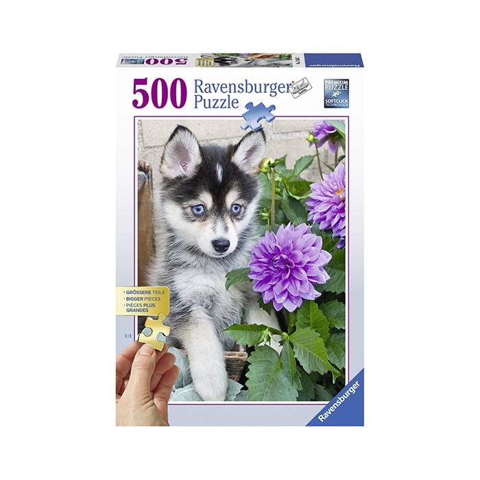 PUZZLE CATEL HUSKY, 500 PIESE